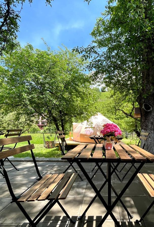 Flore'S Garden Glamping Bran  Dış mekan fotoğraf