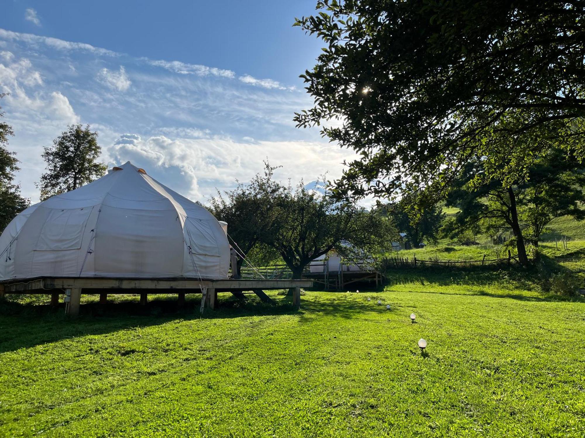 Flore'S Garden Glamping Bran  Dış mekan fotoğraf