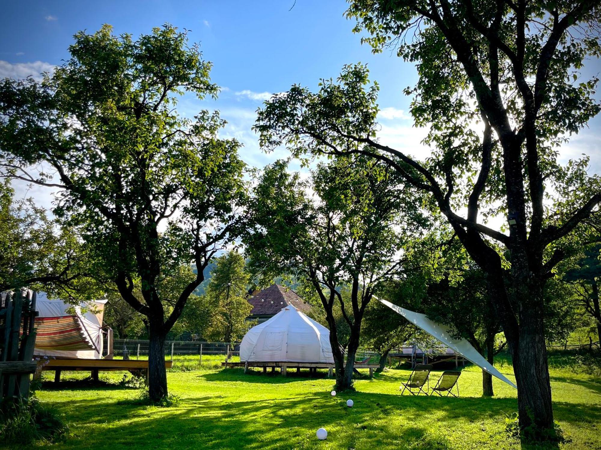Flore'S Garden Glamping Bran  Dış mekan fotoğraf